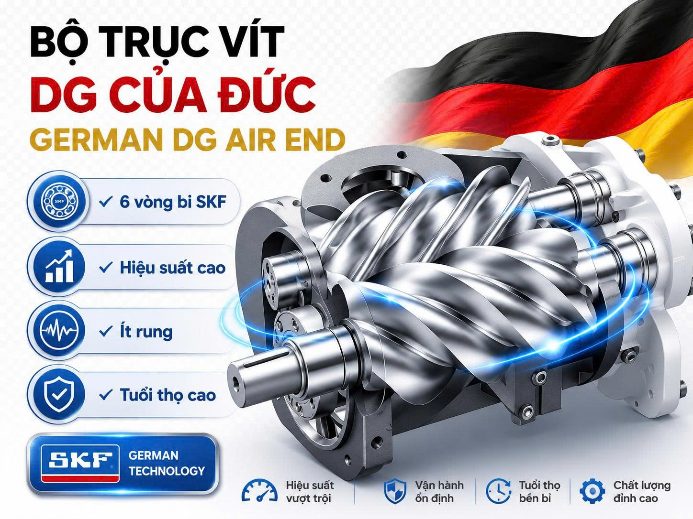 Đừng chỉ nhìn vào xuất xứ! 5 yếu tố quan trọng hơn khi chọn máy nén khí 3 Cụm đầu nén DG Germany và 06 vòng bi SKF trên máy nén khí TLC